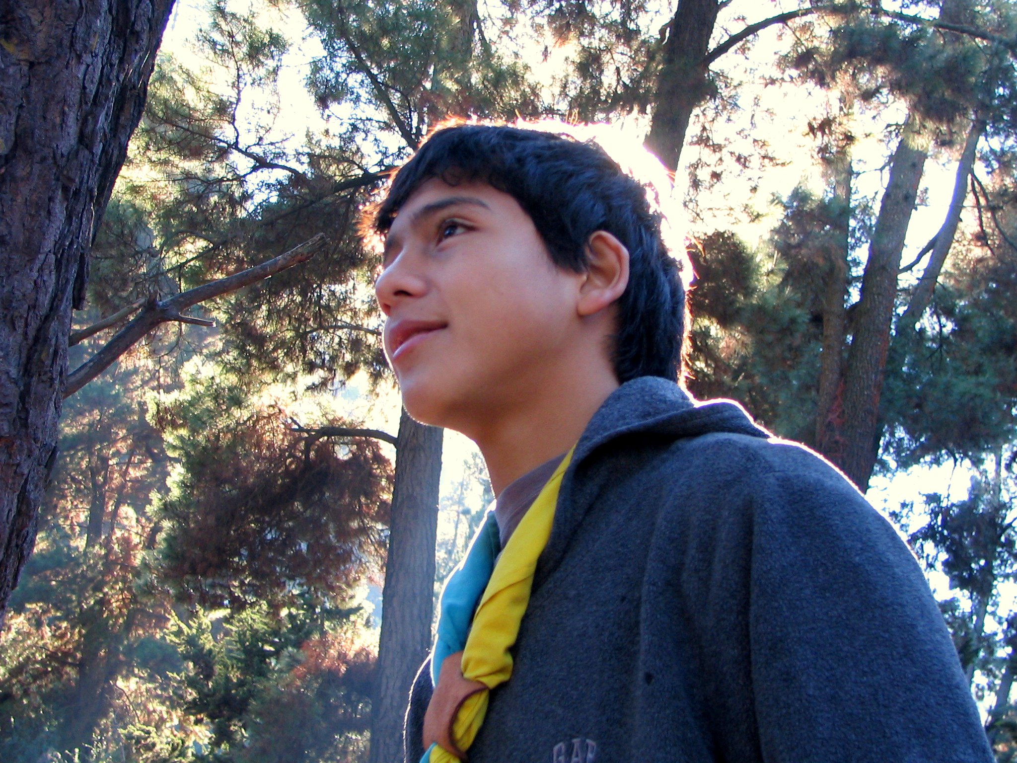 a boy with a yellow and blue neck tie looks to the sky