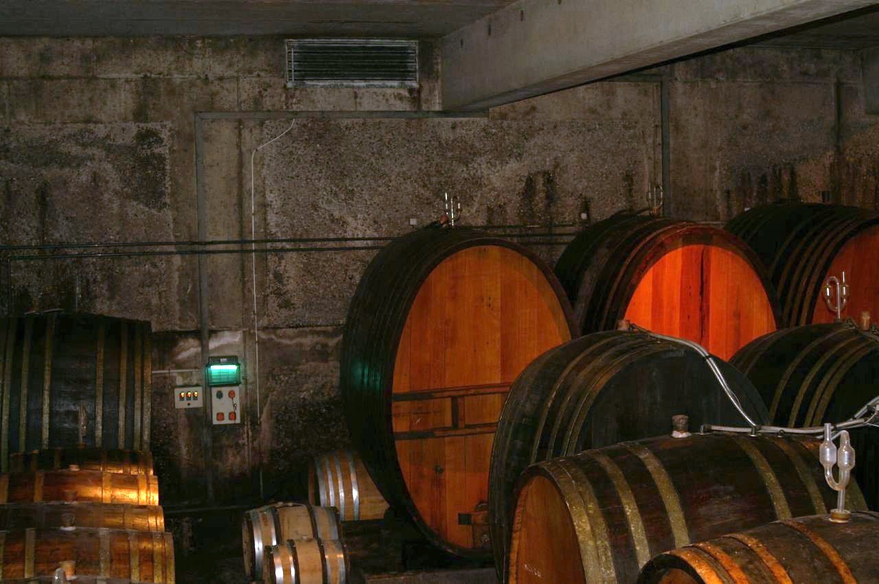 the cellars are waiting to be packed and used