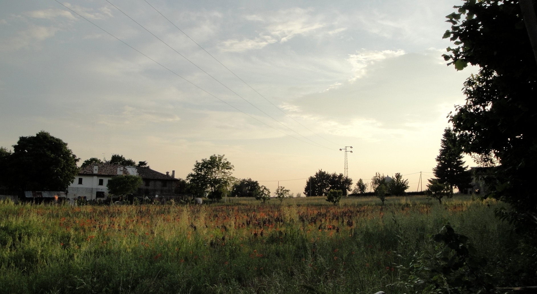 a green field with some telephone poles and buildings in the distance