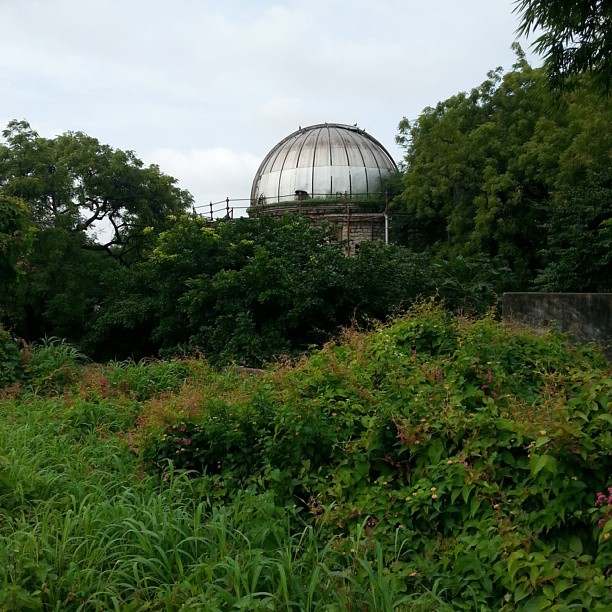 large dome on top of building near forest