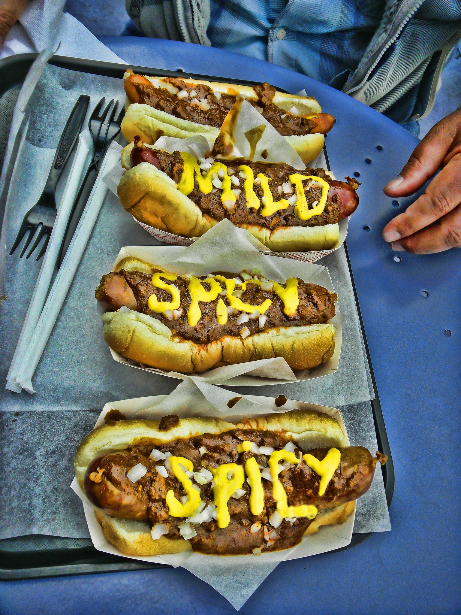 there are three  dogs on a tray