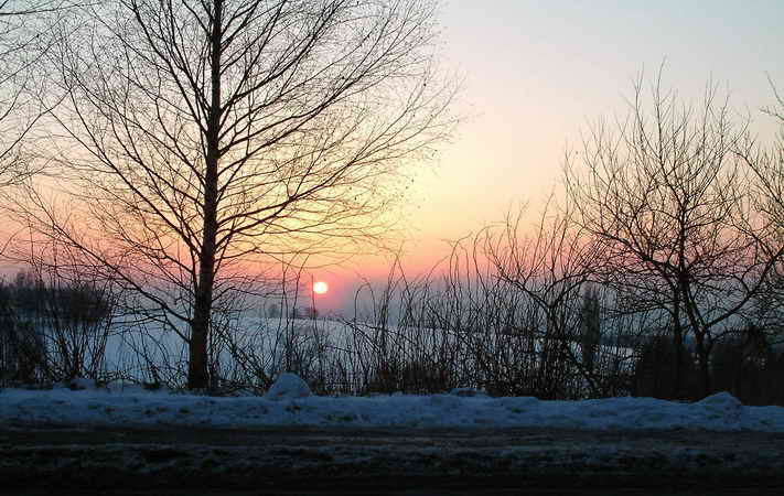 the sun sets through some bare trees by water