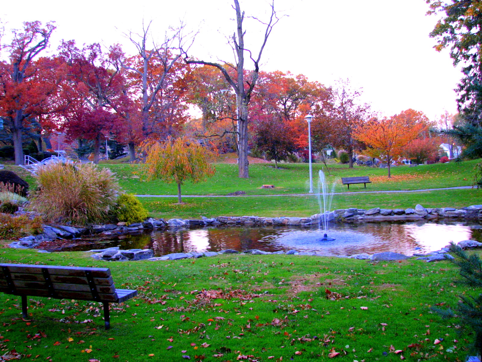a small pond in a park with benches