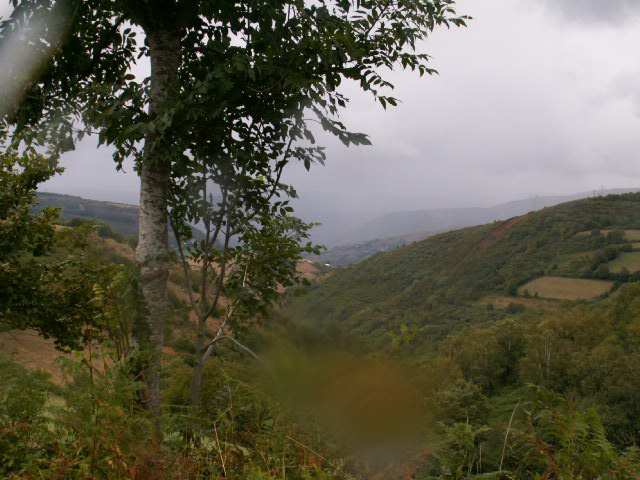 a scenic scene of hills and trees