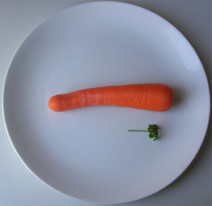 a piece of carrot sitting on top of a white plate
