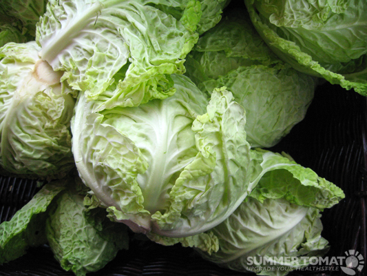 closeup of cabbage fresh from the bush