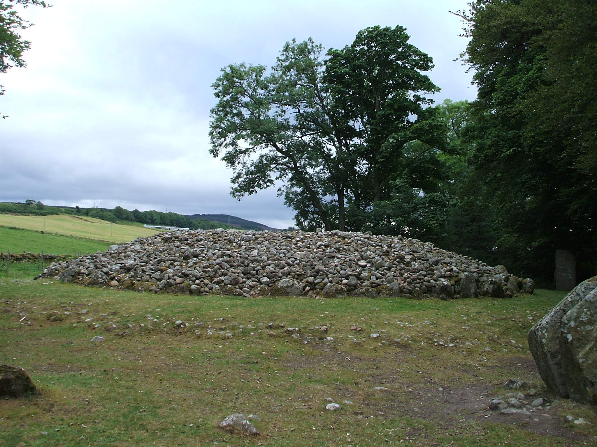 a pile of rocks near many trees