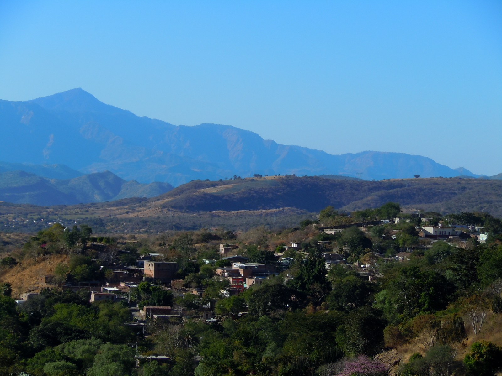 a small town nestled in trees in front of mountains