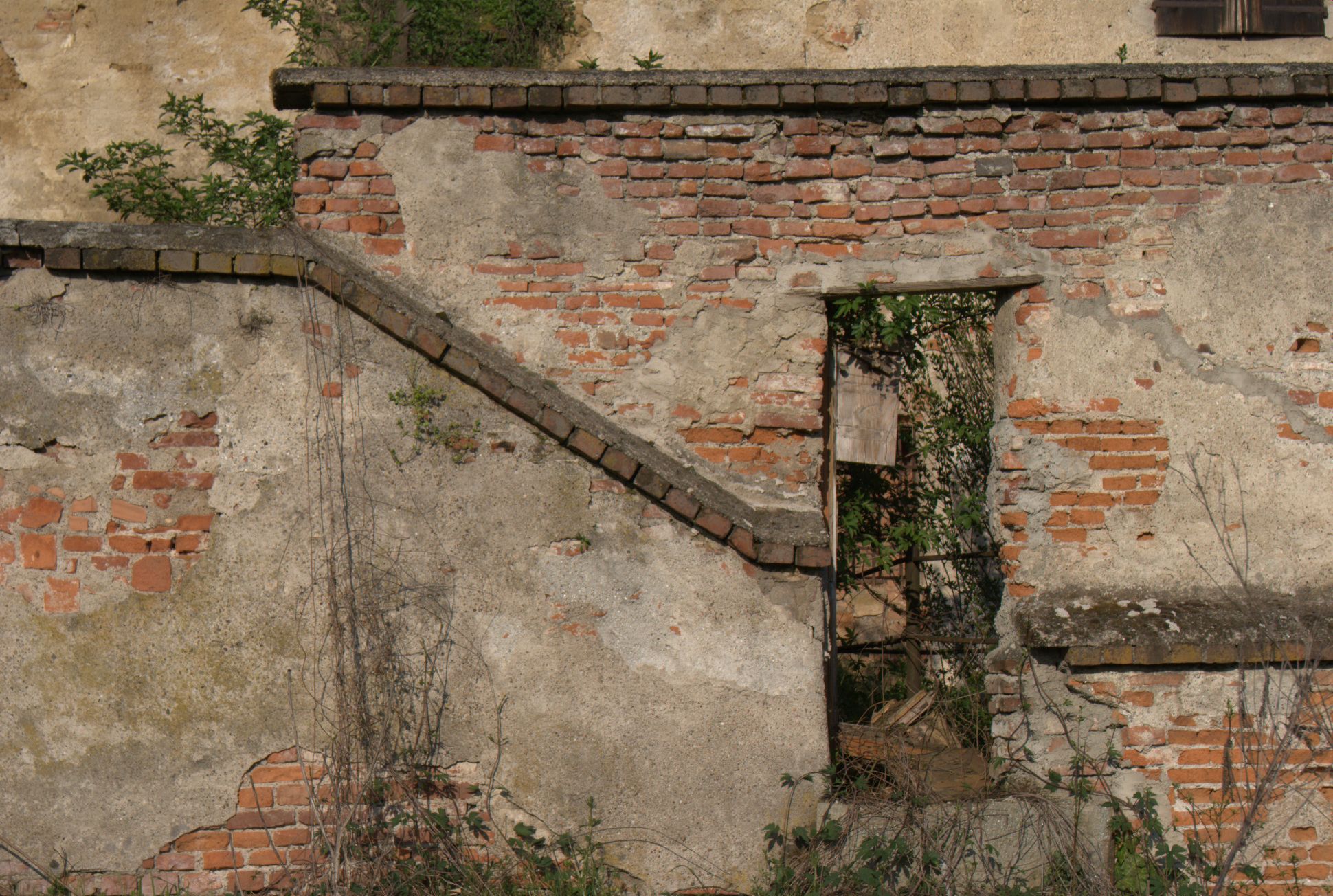 a stone wall with plants growing on the sides