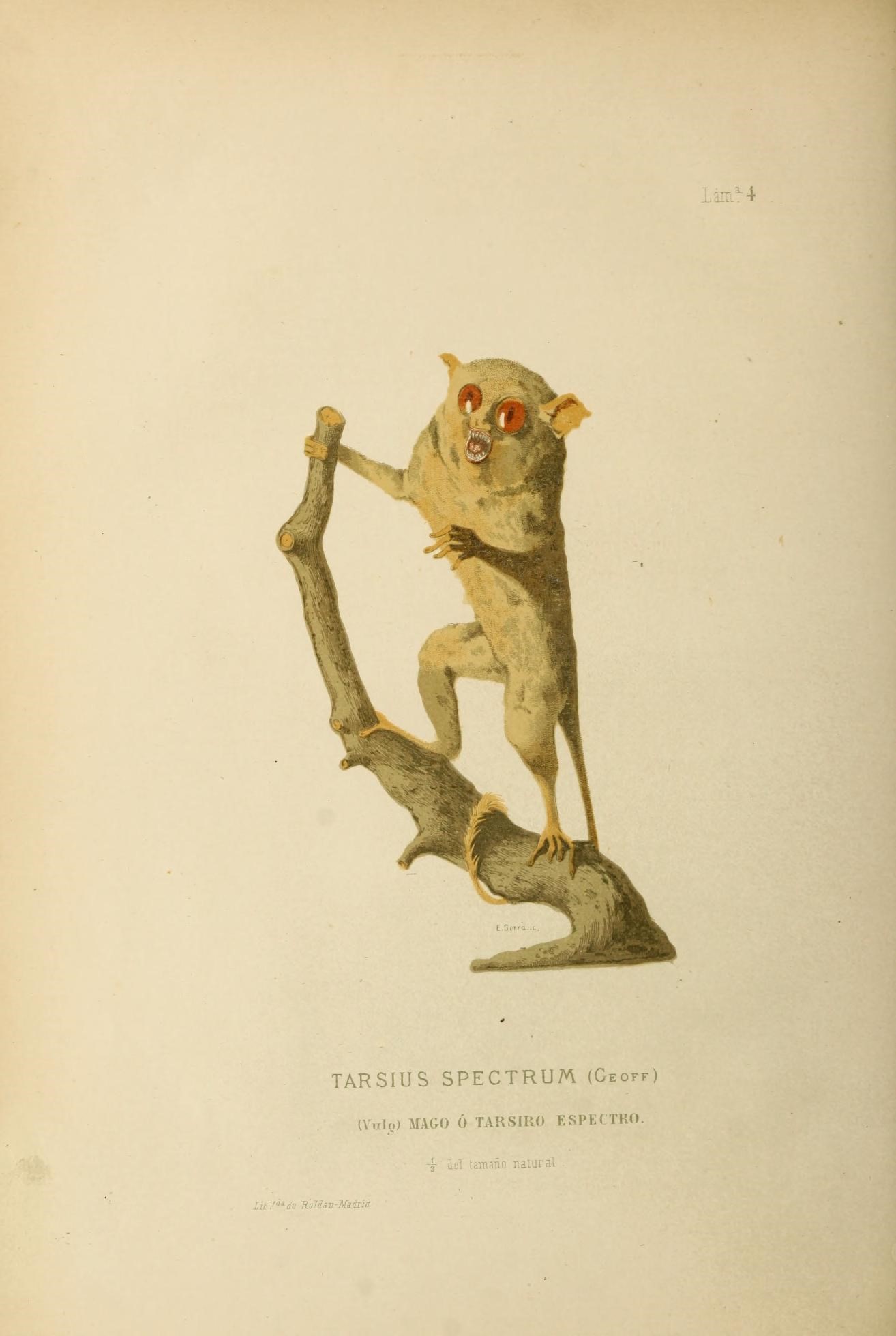 a drawing of a monkey holding a stick