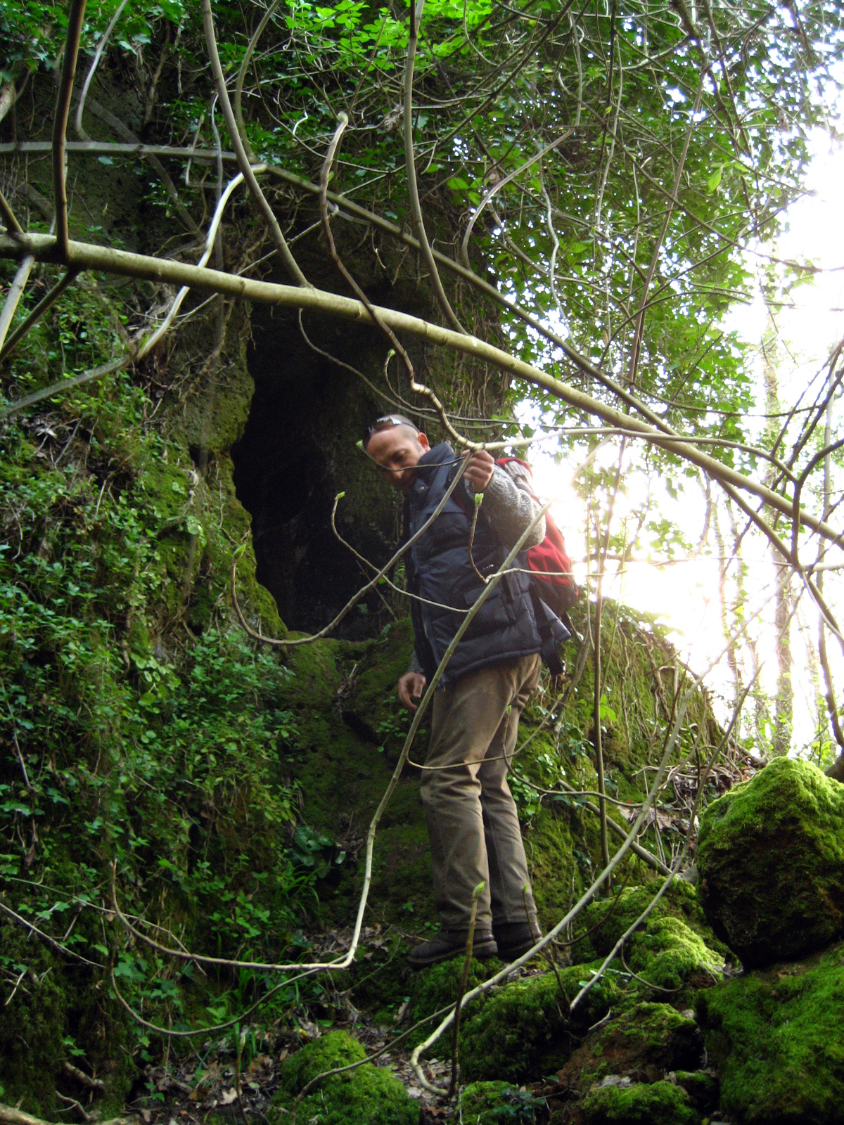 the man is hiking up a mossy tree trail