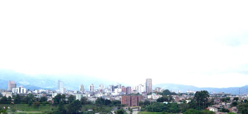 the skyline of a city is visible from a park