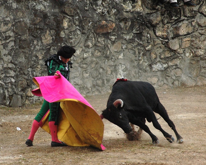 a woman is pulling a pink kite from the ground by a cow