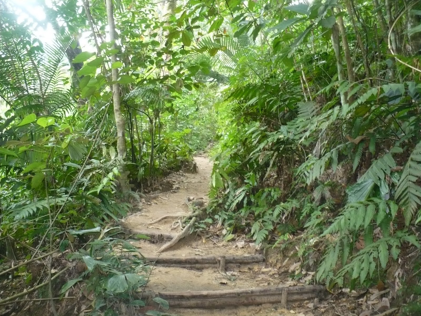 a dirt path that has a long wooden rail