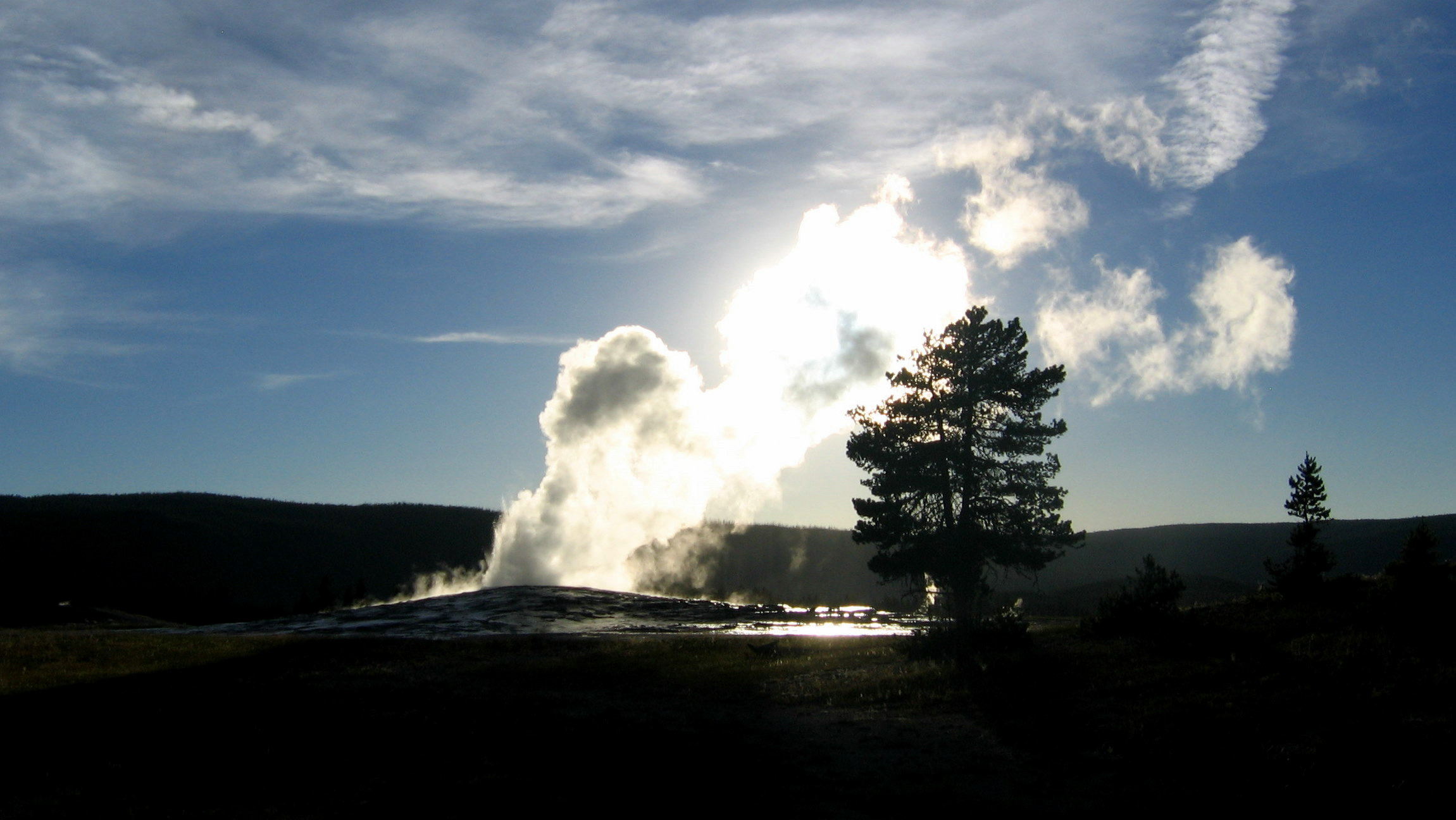 a tree on a snowy hillside with a steam emitting