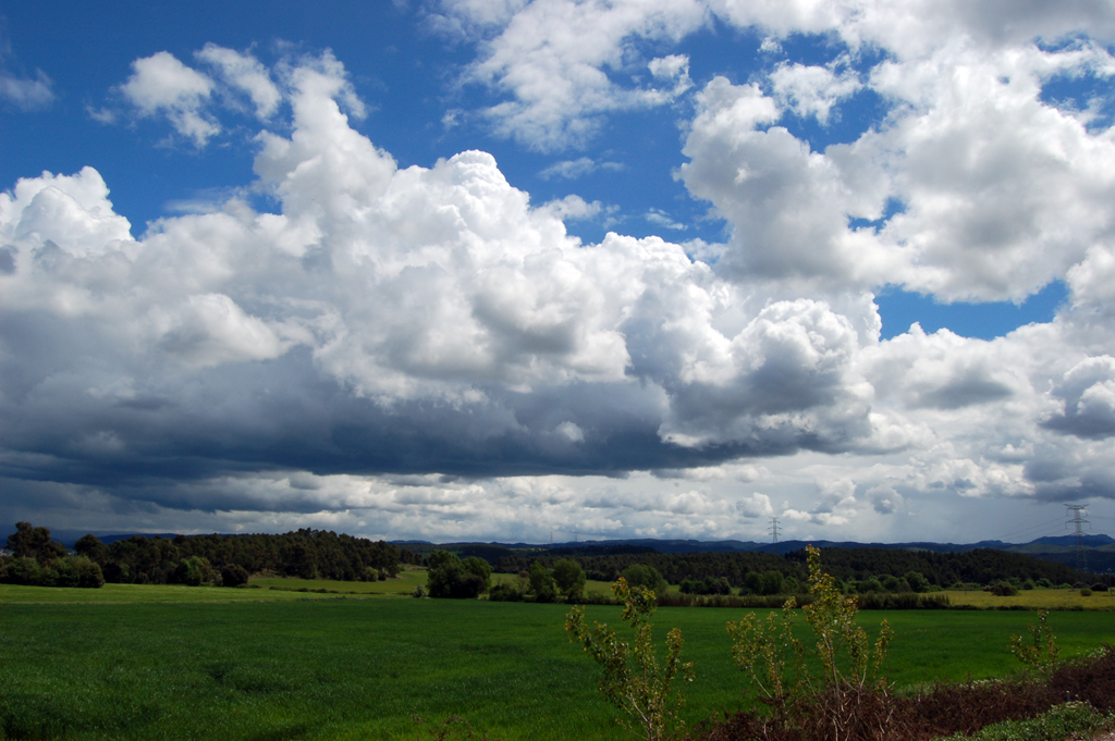 there is a large field with several trees and clouds in the background