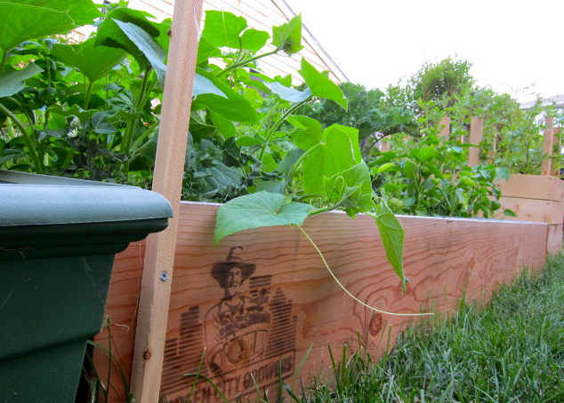 a row of wooden posts with green leaves in front of a wooden fence