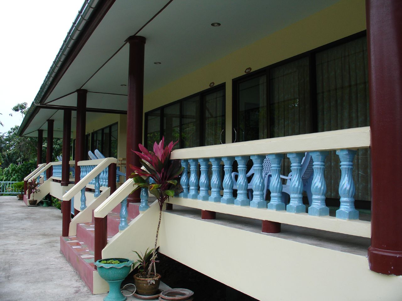 a group of potted plants sitting outside of a building