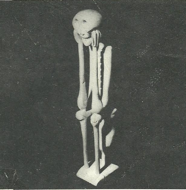 a small white skeleton on a black background