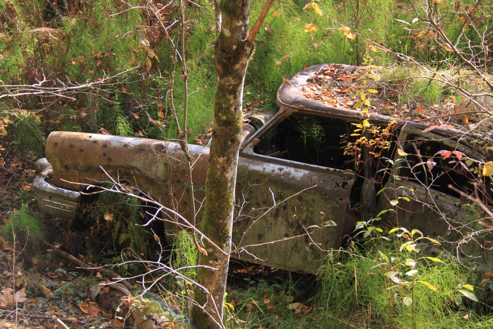 an old pick up truck sitting in the woods