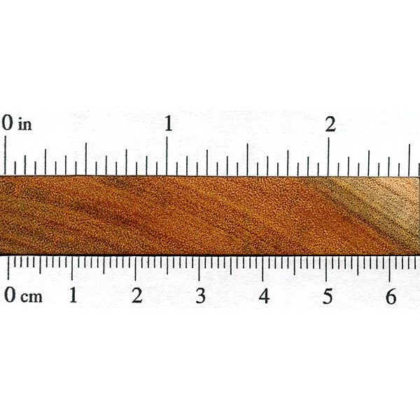 a ruler that has the height of wood