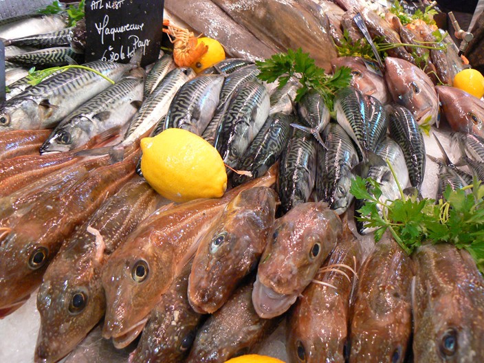 a variety of fishes are displayed on the market