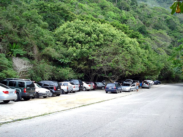 a long row of cars sit parked in the shade by trees