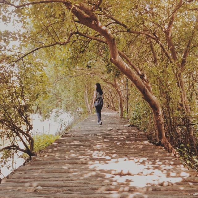 a woman is walking down a wooden bridge