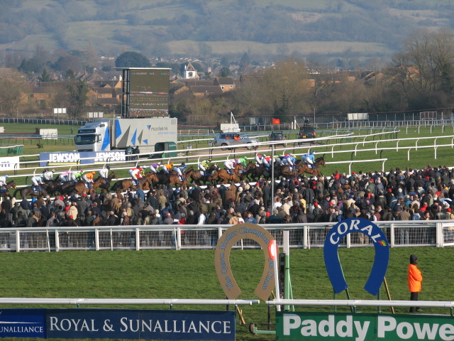 an image of horse race with many riders