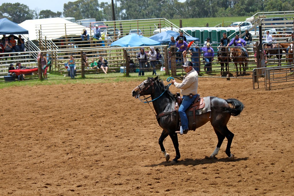 a cowboy is riding a horse at an outdoor rodeo