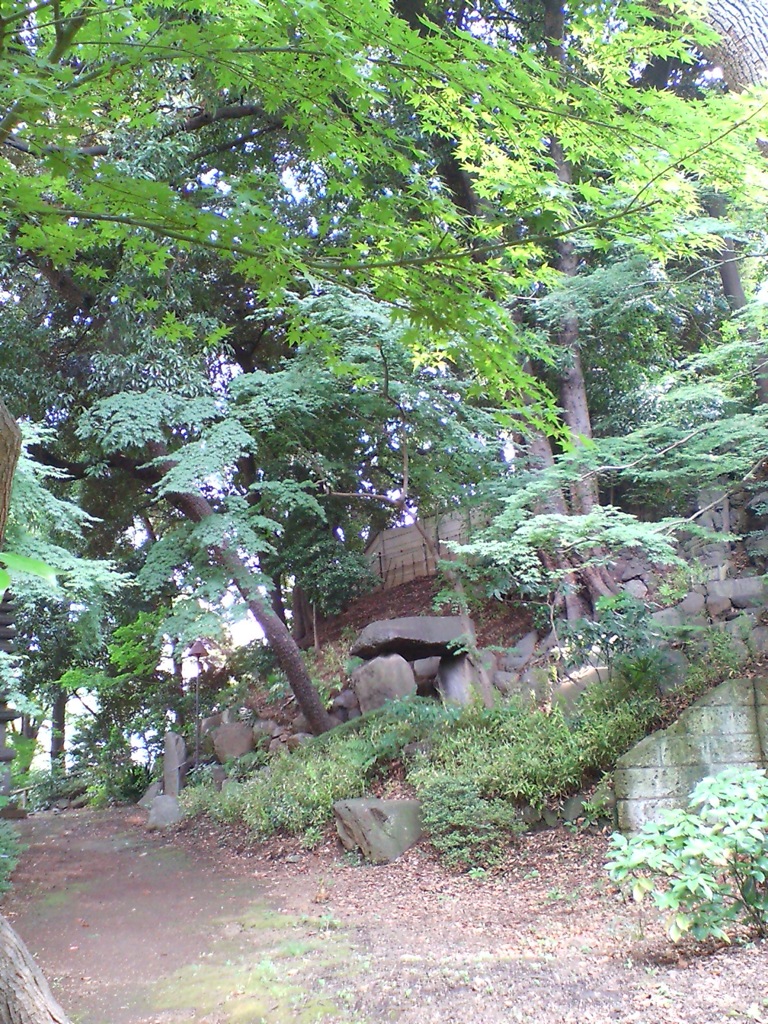 a wooded area with large rocks, bushes and trees