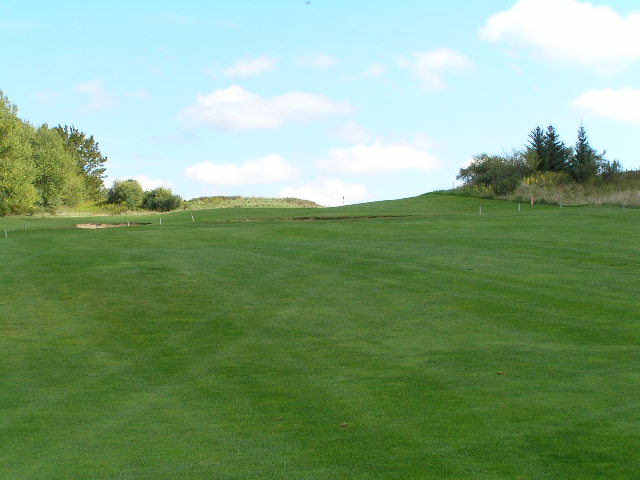 a golf field with the hole in the foreground and trees in the backgroud
