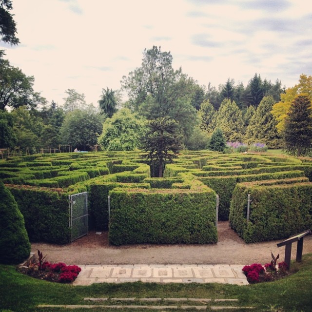 a very large maze in the middle of some bushes