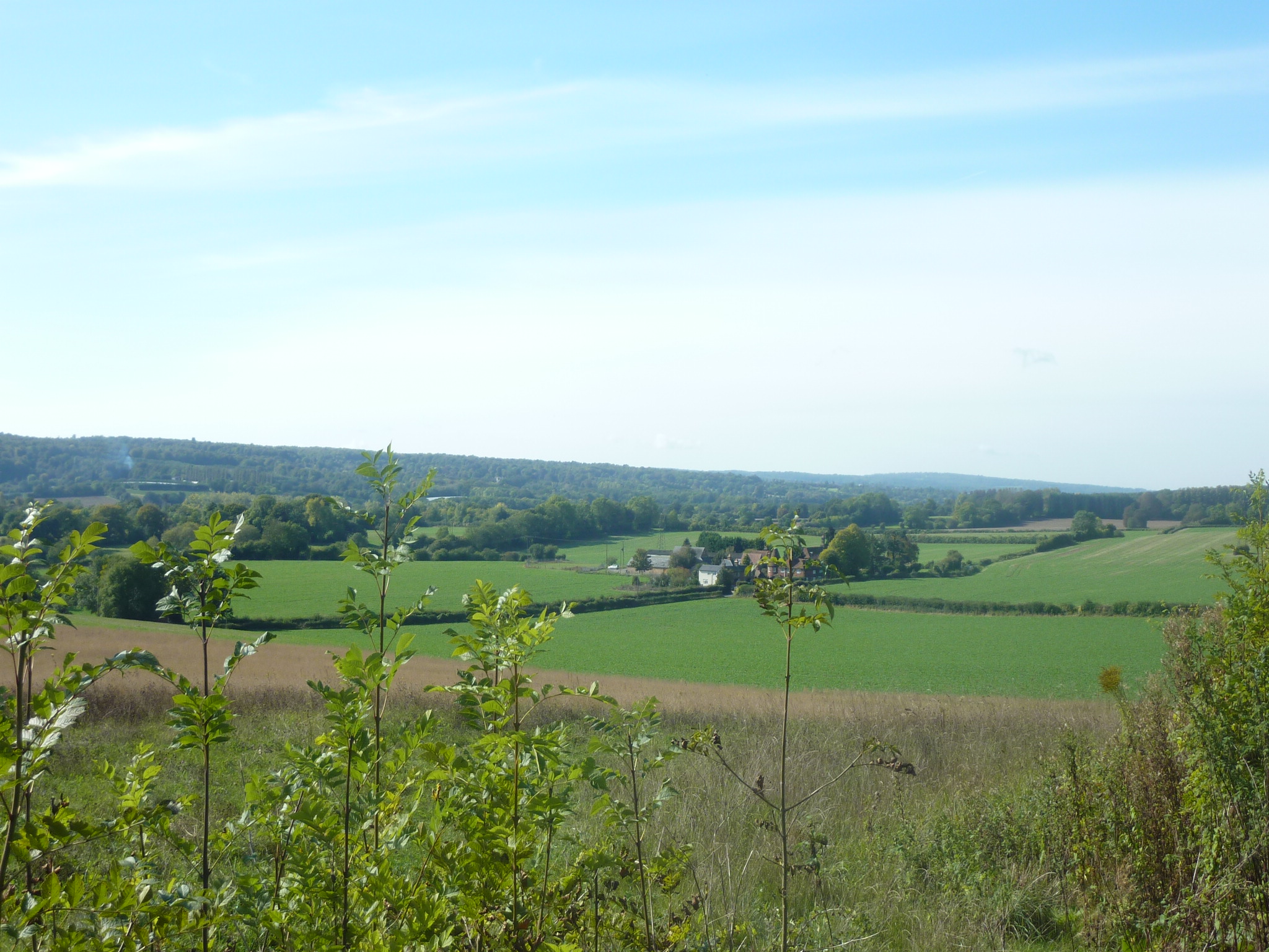 a green pasture with a farm in the distance