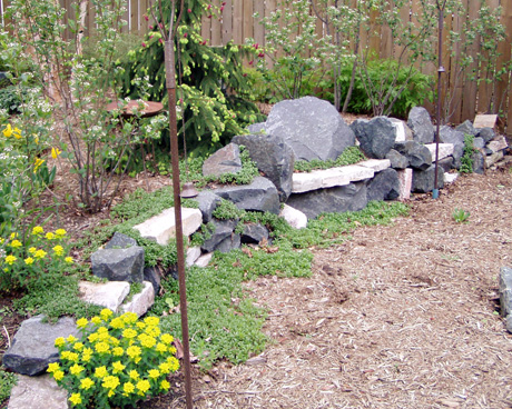 a backyard garden is shown with rocks, and landscaping
