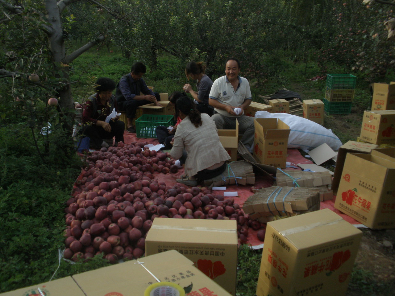 a group of people sitting on the ground with boxes full of onions