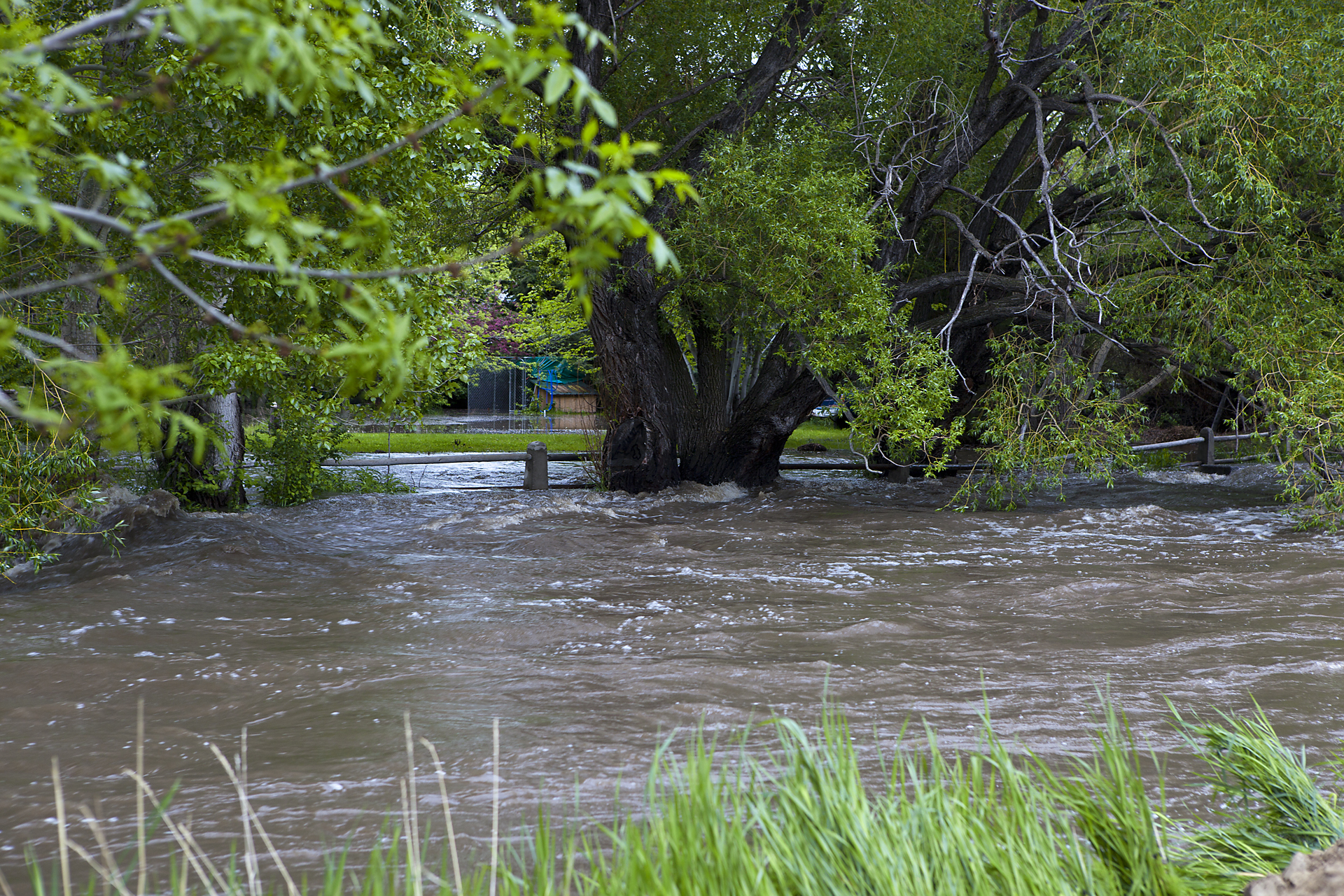 the water is overtaken by heavy rain