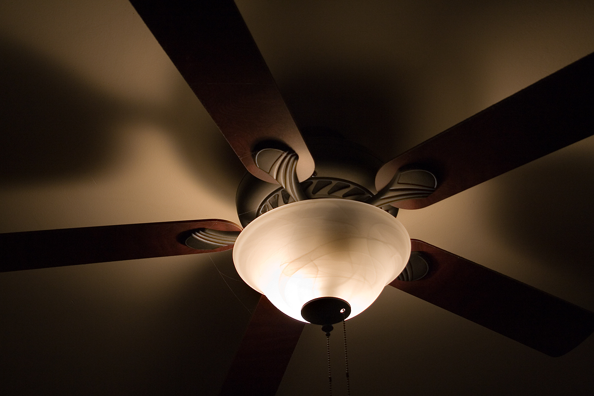 a ceiling fan with two wooden blades and a light on it