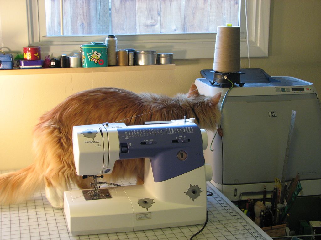 a cat is standing on the table behind an sewing machine