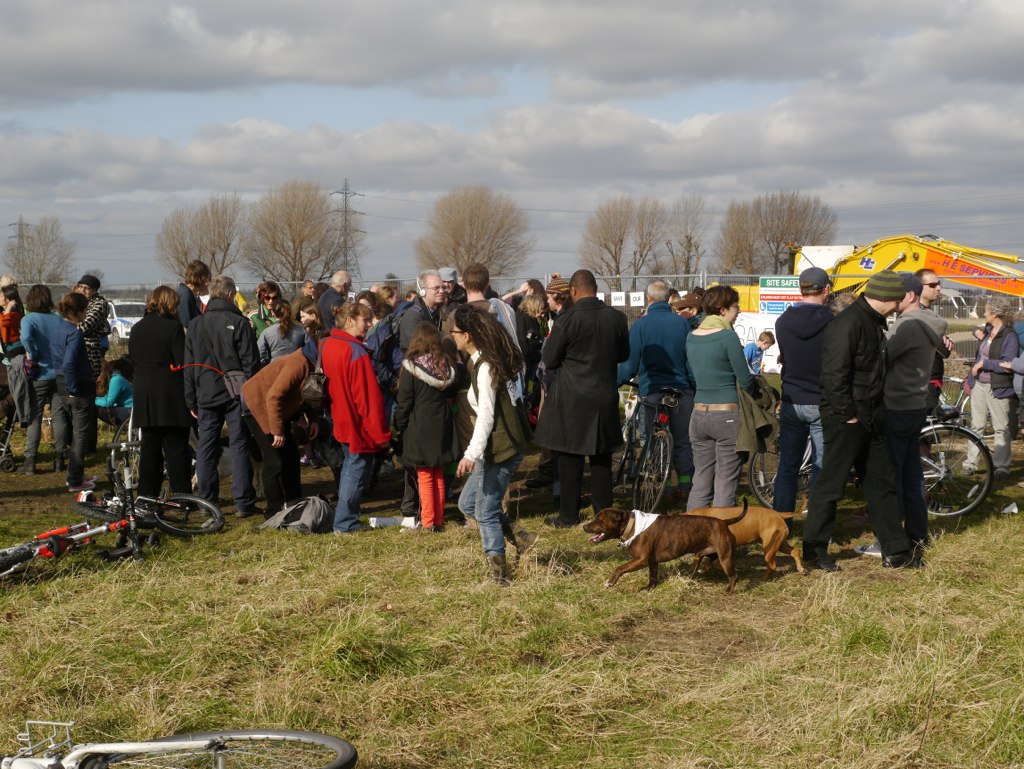 many people are in a grassy area with two dogs