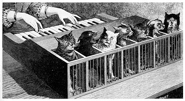 many cats that are sitting at a piano