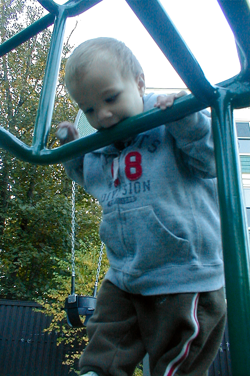 a little boy climbing on a slide in a yard