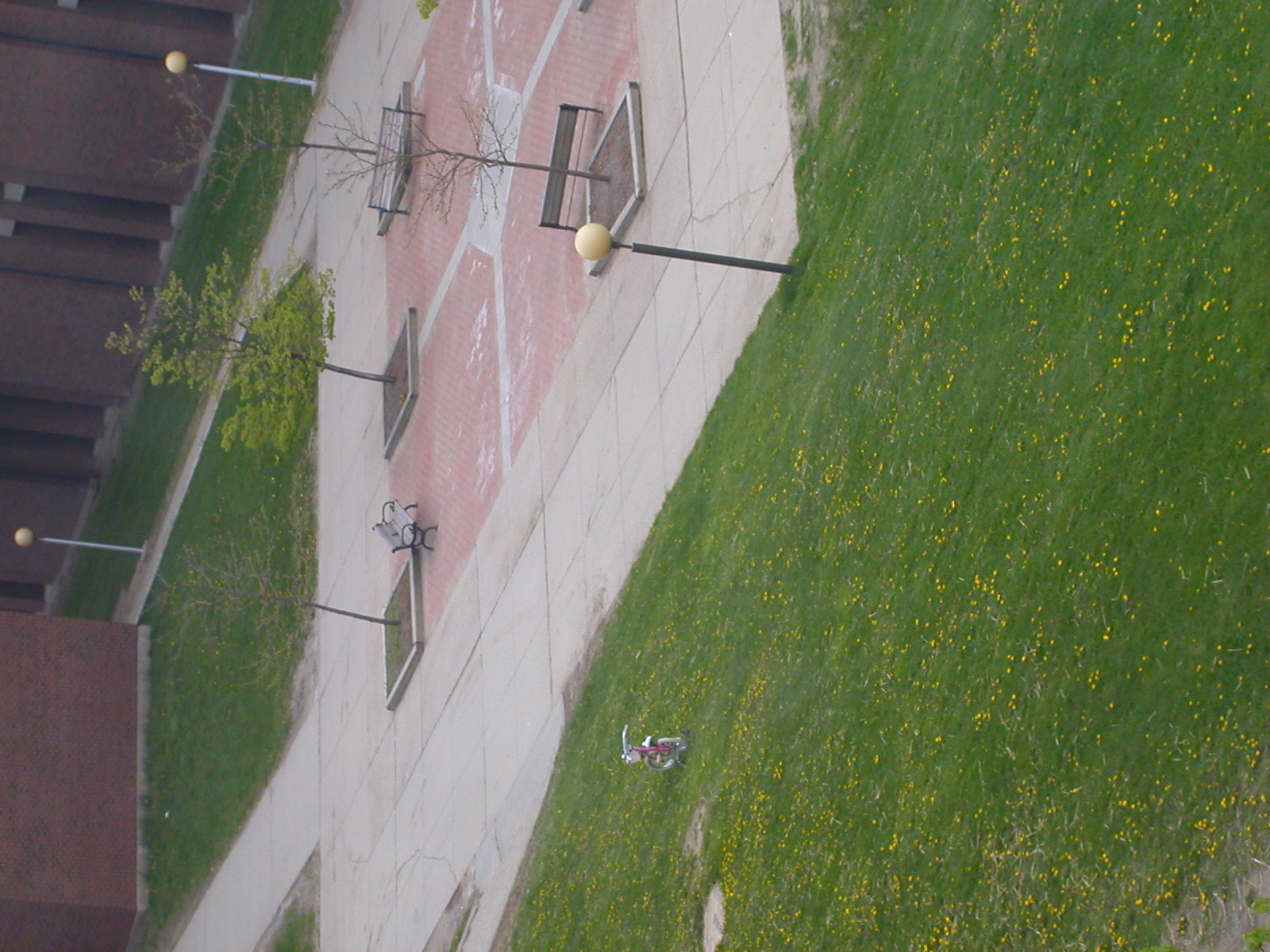 some people are laying on the grass near a park