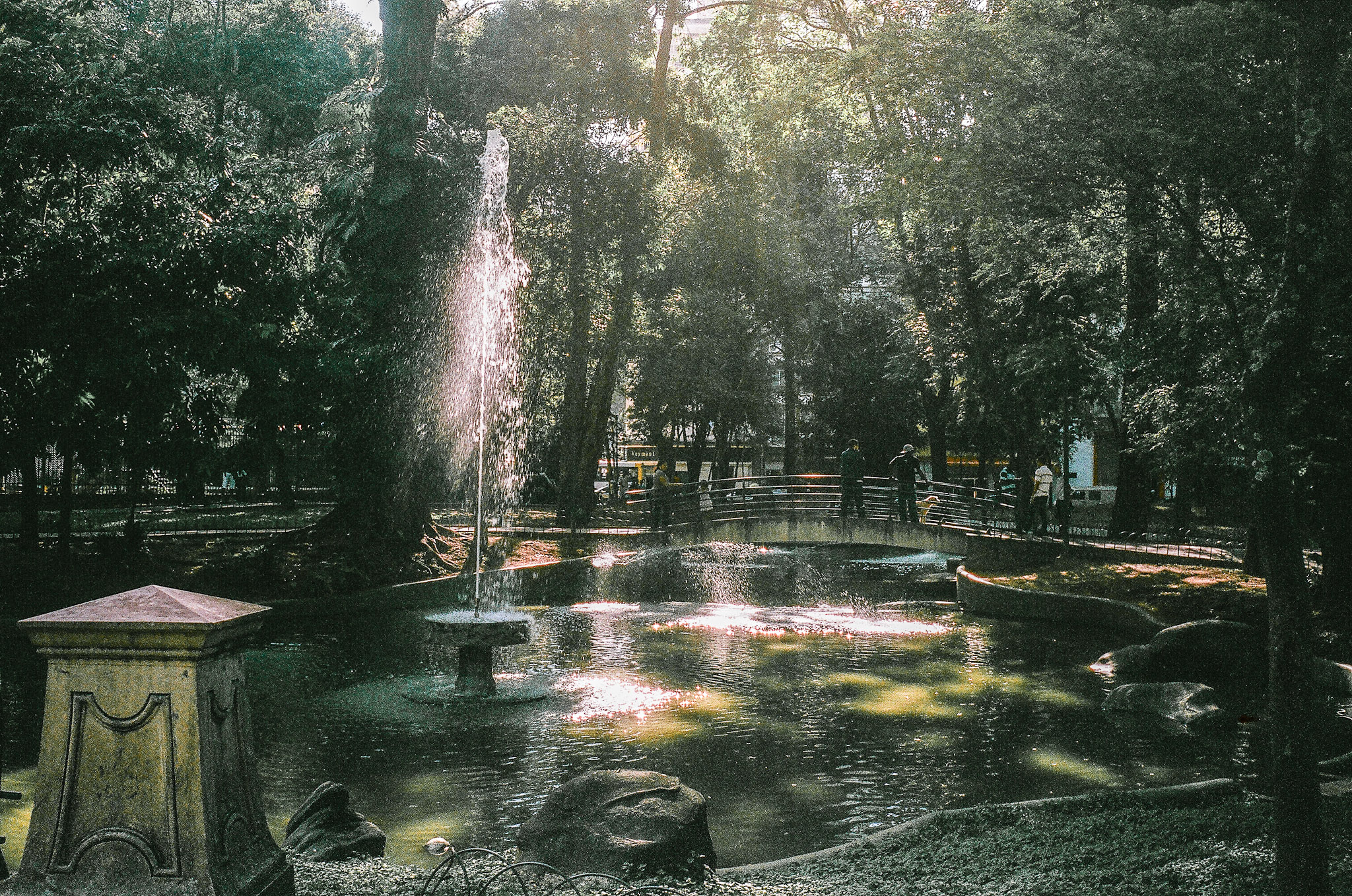 a park with some trees and benches in the background