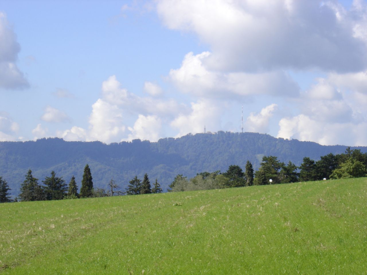 large grassy field in front of trees on hillside