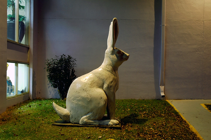 a white concrete animal sitting on a patch of grass