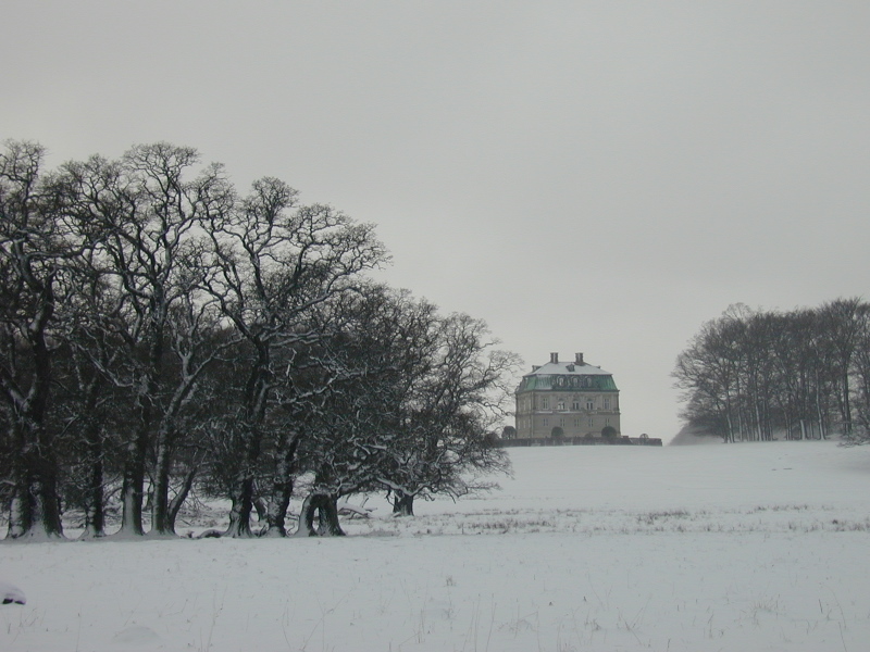 this is a small castle next to trees in the snow