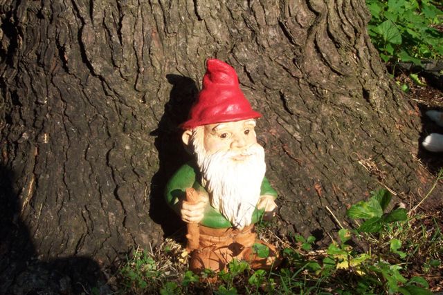 there is a small statue of a gnome near a tree