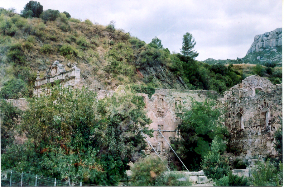 a very old castle near a hill of trees