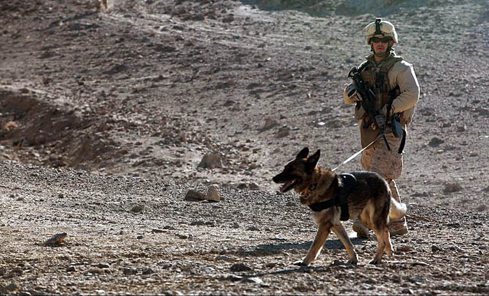 an army soldier is walking a dog on a dirt hill